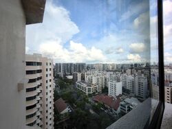 Simsville (D14), Condominium #581333691